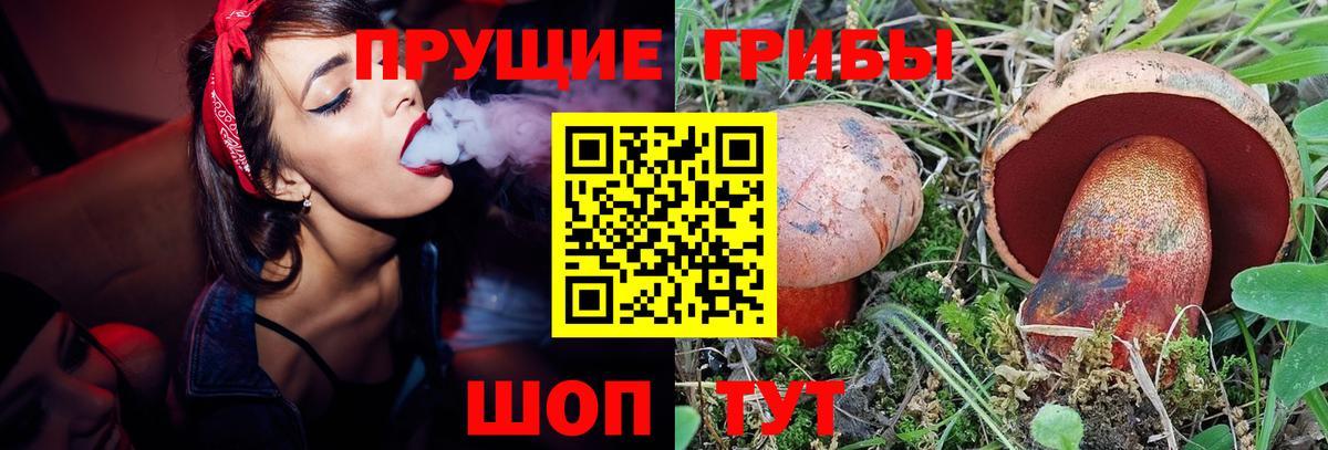 COCAIN Новошахтинск