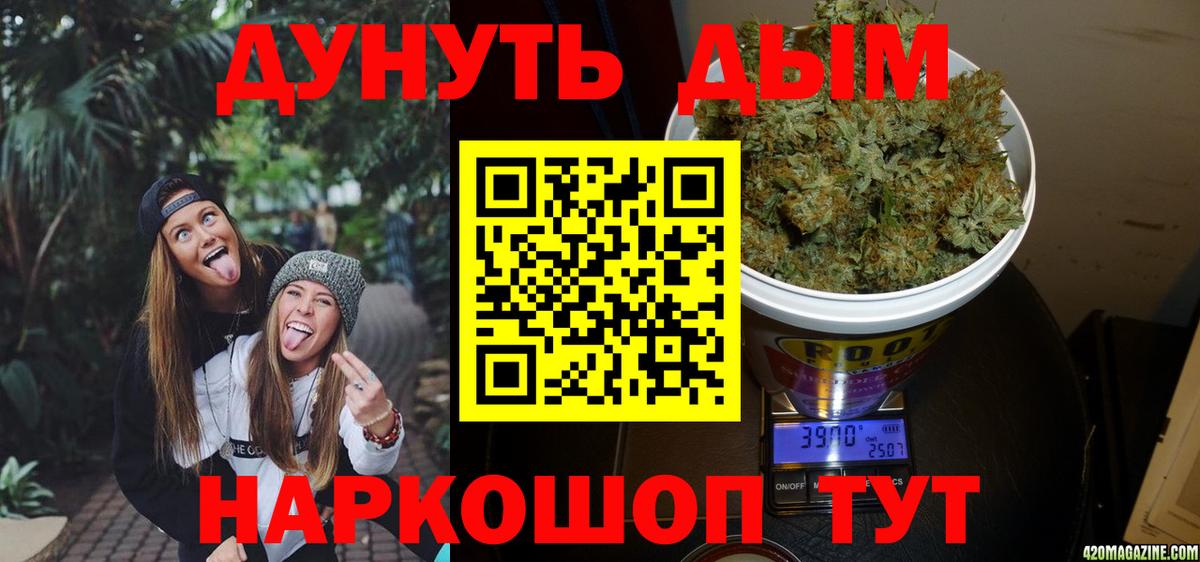 Каннабис планчик Новошахтинск
